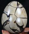 Septarian Dragon Egg Geode - Yellow Calcite #34703-3